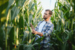 © Serhii - Farmer examining corn crop in cultivated field at sunset