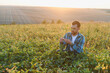 © Serhii - Farmer examining soy plants in cultivated field at sunset