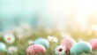 © tashechka - Colorful eggs and flowers on grass during springtime celebration near sunlight