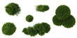 © Saifstock - Collection of Platycladus trees on transparent background from the top view