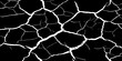 © feroj - Abstract white cracked vein pattern on deep black background, organic branching texture resembling dried earth or lightning, high contrast, minimal, clean studio lighting, seamless, Adobe Stock qualit