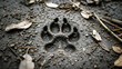 © OlgaNeuroArt - A canine paw print impressed in wet mud on a forest trail. Close-up of a wild animal track. Wildlife and nature conservation concept