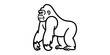 © Bilas - A strong gorilla line art illustration standing on its hind legs on a clean white background