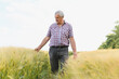 © Serhii - Senior farmer walking and inspecting wheat field before harvest