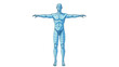© Stock Image Zone - A blue wireframe human figure with outstretched arms stands against a white background in a digital illustration.