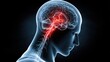 © justjupiter - A digital illustration of a human head in profile, highlighting the brain and nerve pathways, emphasizing neurological connections.