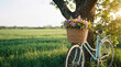 © Eduardo Accorinti - Vintage bicycle with a basket of fresh flowers resting on a tree in a spring field at sunset