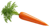 Fresh orange carrot with green leaves isolated PNG, healthy vegetable for cooking and vegetarian diet on transparent background