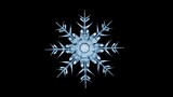 A 3D rendering of crystalline snowflakes against a black background. The image has a magical, wintry feel, highlighting the intricate, glowing geometry of the ice crystals.