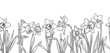 © Elena - Narcissus flowers and leaves on a seamless border, sketch. Vector illustration. Spring garden flowers, isolated on a white background. For Easter, birthday or wedding cards, invitations and textile pr