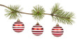 © Kamrun - Red and white striped christmas ornaments hanging on pine branch