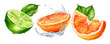 © Putra - Fresh Citrus Fruits with Water Splash Concept, Bright and Natural Illustration Style
