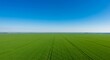 © brogan - Vast aerial view of a vibrant green cultivated field under a clear, bright, and expansive blue sky