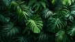 © Curioso.Photography - Dense tropical green leaves forming a lush natural background with rich texture and depth.