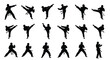 © Akha - Dynamic collection of flat 2D vector silhouettes showcasing diverse martial arts poses, featuring powerful kicks, defensive blocks, and combat stances for athletic design