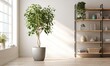 © TheoTheWizard - A large potted plant sits in a grey ceramic pot in a room with white walls