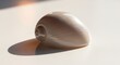 © Liesda - Close-up of a polished natural seashell with a smooth spiral shape and soft reflective surface