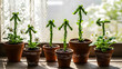 © gado - Arrangement of potted plants on a windowsill, with the leaves growing upwards in the shape of arrows, symbolizing growth and progress