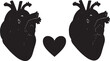 © PixelSaga MH2  - Two anatomical heart silhouettes flanking a small heart shape, symbolizing love, connection, and emotional relationships in a stark also transparent background