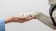 © Banstanks - Human hand touching dog paw on white background friendship concept