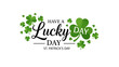 © evie - Happy St. Patrick's Day greeting with lucky shamrocks and festive clover leaves
