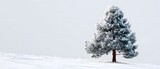 A Lone Evergreen Tree Standing Tall In Vast Snowy Field