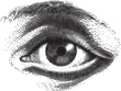 © Creative_Rasma - Detailed close up illustration of a human eye rendered in black and white engraving style showing the iris pupil