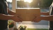 © Igor_Tichonow - Courier in uniform delivering a cardboard parcel to a customer at a house door during a sunny evening symbolizing efficient shipping and last mile logistics