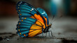 © Jennifer - close-up of a colorful butterfly resting on a surface