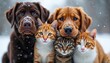 © Viktor - Two dogs and two cats huddle together in gentle snowfall. Furry pets share warm companionship outdoors in a wintry landscape. Adorable animals display calm affection during cold season.