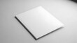 © qawi - Blank white book on gray background for design or publishing needs