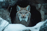 Generative AI image of lynx standing in snowy cave entrance during winter season after long period of hibernation