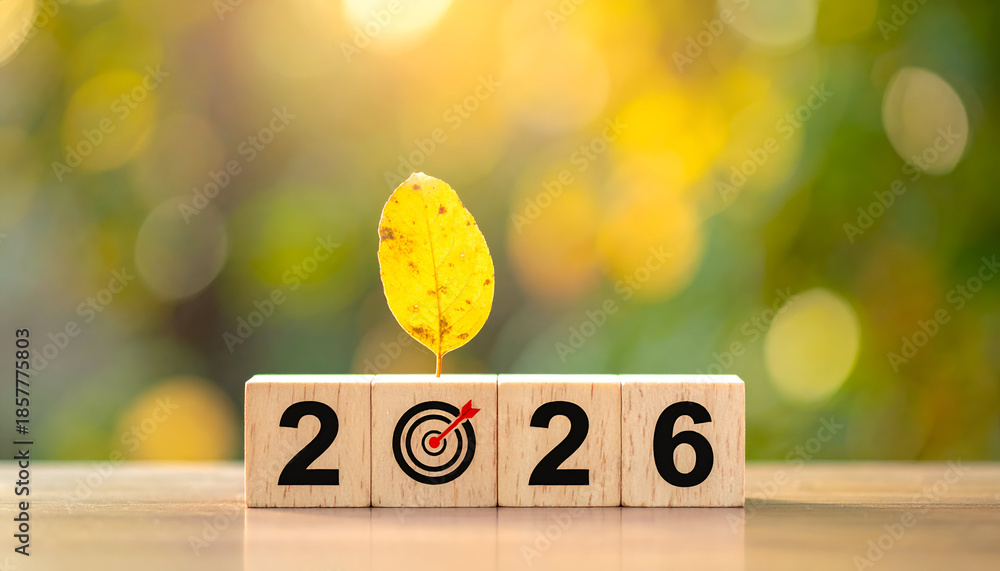 Visualizing Goals for 2026: The image is focus on a block set up that ...