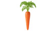 © Luca - Vibrant orange carrot with green leaves isolated PNG, fresh vegetable for healthy eating and vegetarian recipes on transparent background