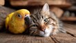© Larisa AI - A charming scene captures a cat and a parrot cuddling together, showcasing the beauty of unlikely friendships between different species in a cozy, warm environment.