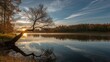 © TheWaterMeloonProjec - Autumn lake scene with sunrise over pines and a distinctive twisted tree in Iowa, natural landscape, seasonal change