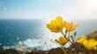 © CreativeBro - Vivid yellow blossoms against the sea, ideal for editorial header backgrounds