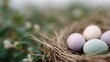 © progressman - Nest of eggs with a green, yellow, and white egg in the center