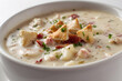 © Thisisbest - Close Up Shot of Authentic Creamy Soup Bowl with Croutons and Fresh Herbs on a White Background