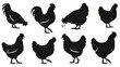 © Elsa - A collection of black silhouettes of various chickens and a rooster in different poses on a white background.