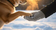 © Ha-Rin Light - Close-up of human and dog shaking paws outdoors on snowy evening with warm sunlight