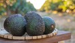 © Betty - Three ripe avocados resting on a woven tray in an outdoor orchard setting with soft sunlight.