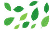 © katsumatakun - Flying mint leaves nature flat color vector illustration template design