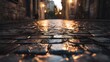 © putri syakilla - Wet cobblestone street evening