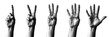 © Sunil - black and white halftone hand gestures, number 1,2,3,4,5. vector