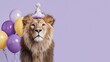© Halina - Funny lion in birthday hat with colorful balloons on left side and copy space on lilac background for party