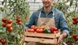 © INSPIRIA.K - Man carrying basket of fresh tomatoes and peppers in greenhouse
