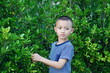© วรรณภา มะโนศรี - Young boy exploring lush green foliage in a vibrant outdoor setting, embodying curiosity and connection with nature