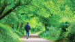 © BetterPhoto - Person walking alone on a quiet path under lush green trees forming a natural tunnel. Peaceful outdoor scene, mindfulness and slow travel concept with copy space.