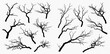 © Akun - Collection of bare tree branches silhouettes, isolated on transparent background, perfect for spooky designs and natural elements.
